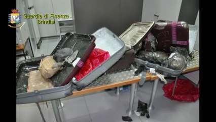 Brindisi - Il sequestro di 11 chili di coca all'aeroporto (05.06.12)