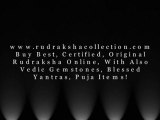 Buy Best, Certified, Original Rudraksha online. Genuine Rudraksha, Online