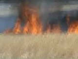 Syria فري برس ريف حلب حيان حرق المحاصيل الزراعية 3 6 2012 ج2 Aleppo