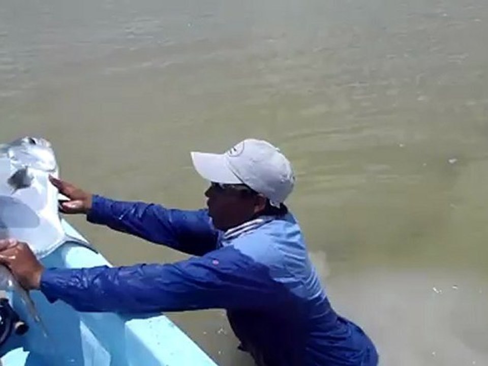 PALOMETA