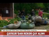 1-ÇAYKUR'DAN REKOR ÇAY ALIMI