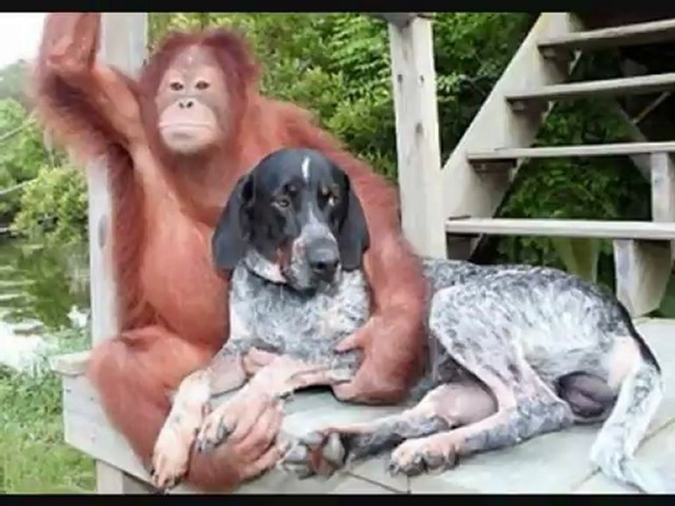 Stephen Hereford - REACH OUT OF THE DARKNESS (cover tune) Reach Out