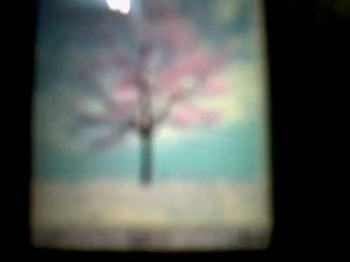 How to Know if your Phone is Original