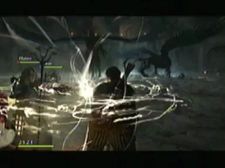 Dragons Dogma Freefall