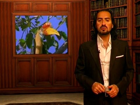 Kambriyen Devri Evrim Teorisini Yıkmak İçin Yeterlidir