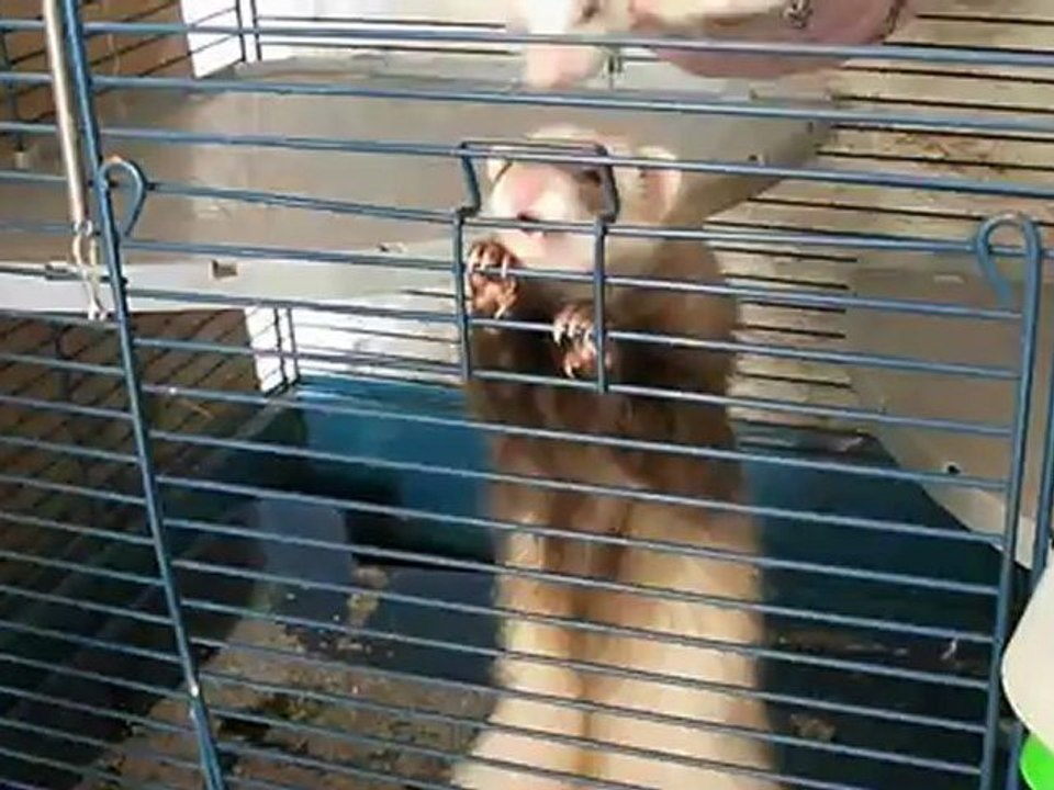 comment sortire d'une cage