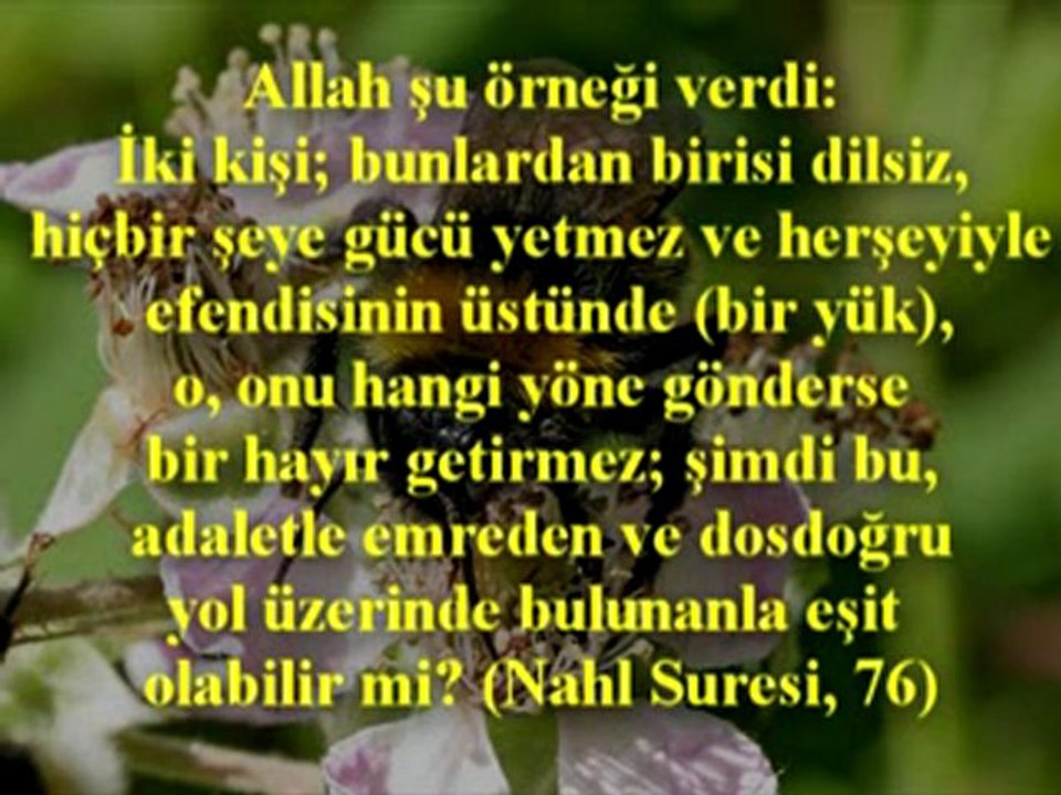 duygusallık aklı nasıl örter 2