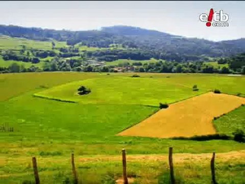 El Tiempo: Paisajes verdes