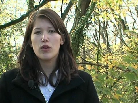 Université Numérique Juridique Francophone (UNJF) : témoignages d'étudiants et d'enseignants