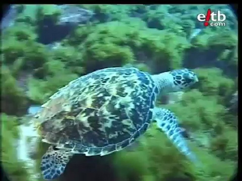 Viajes: ¿A donde vas de vacaciones?