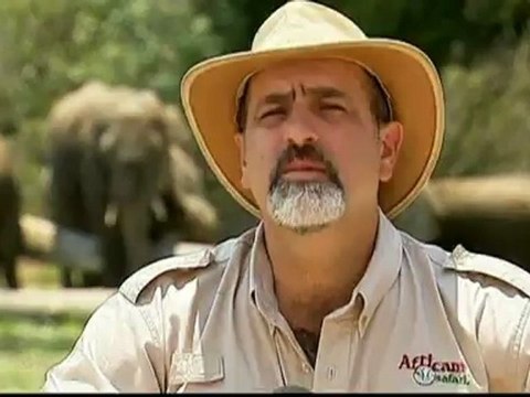 Orphan elephants rescued from poachers