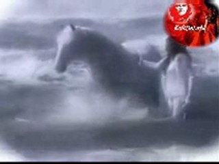 ÖZGÜRLÜK VE ZERAFET BİR ARADA