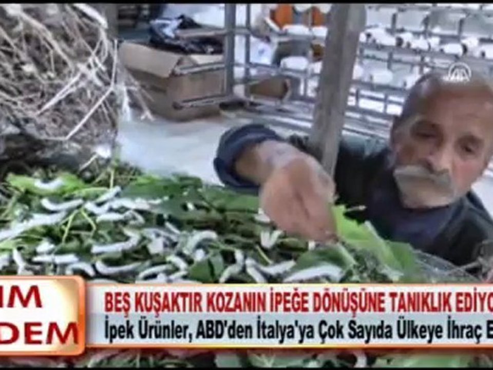 BEŞ KUŞAKTIR KOZANIN İPEĞE DÖNÜŞÜNE TANIKLIK EDİYORLAR