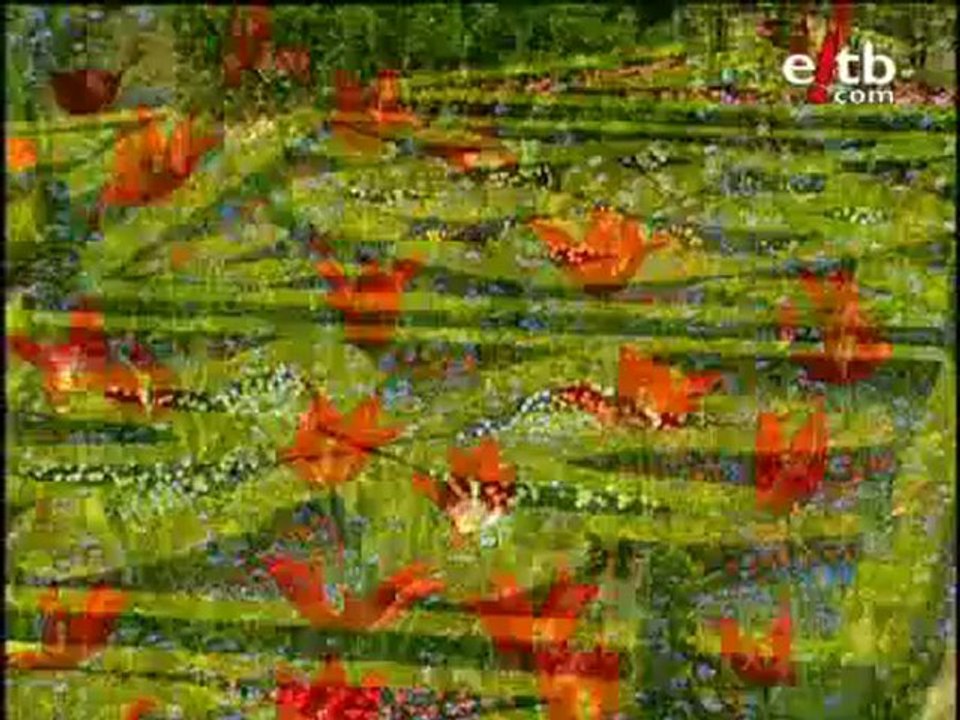 Chiloe: Loira, belleza medieval