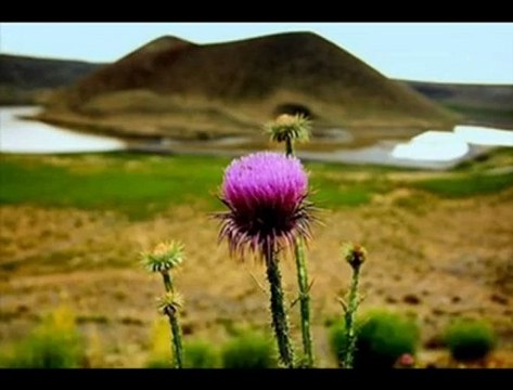 Karapınar,Eregli ,Karaman,Arasında Kaybolan Degerlerimiz- Paylaş