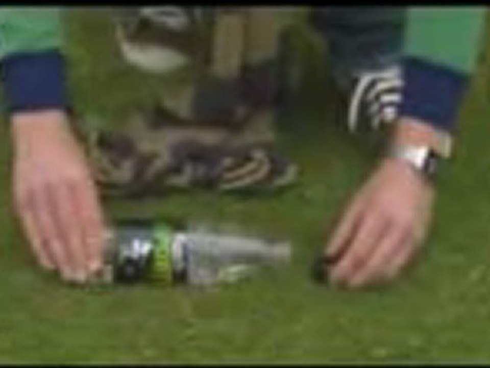 squirrel-playing-football.3gp