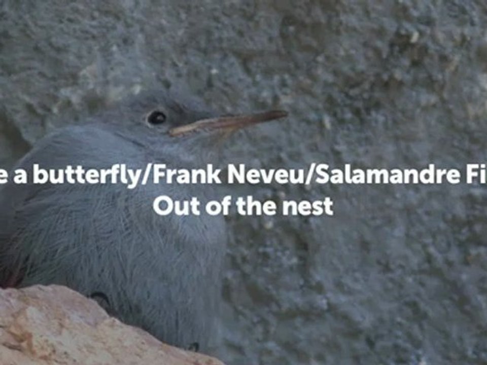 Out of the nest