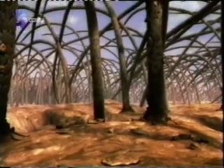 Anatomia de la piel humana