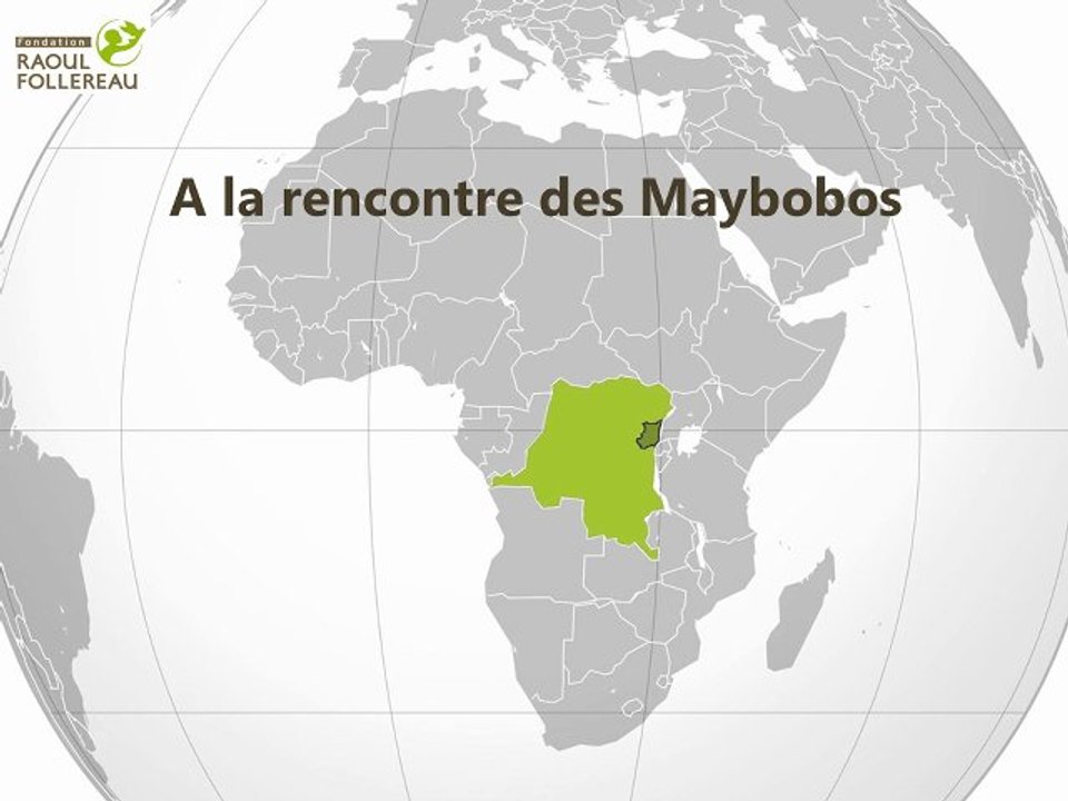 A la rencontre des Maybobos