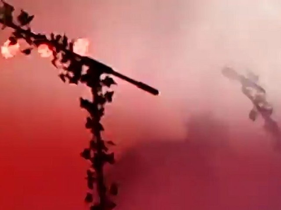 FAUN MPS Spectaculum Weil am Rhein 2012