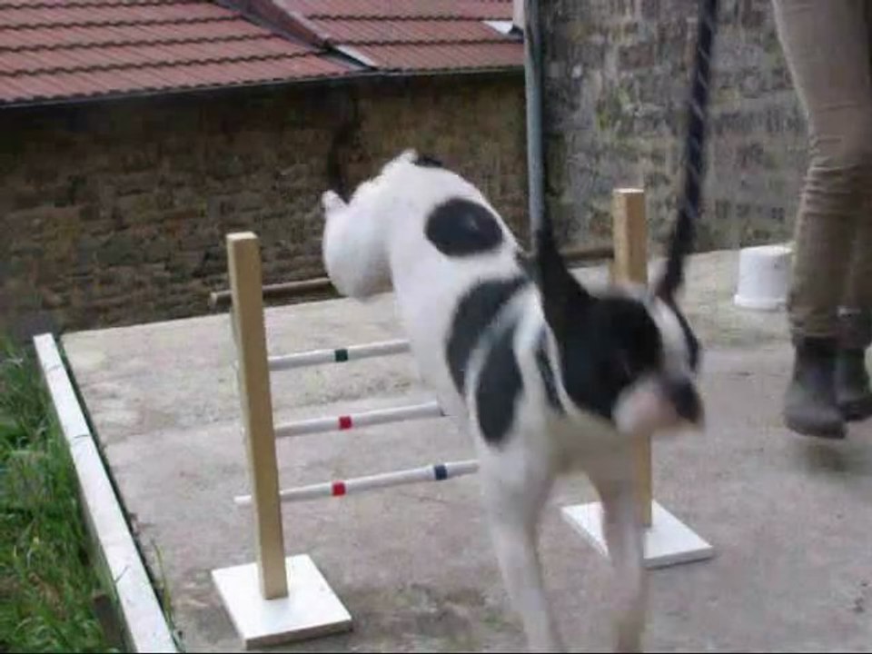 Cours de saut Murphy du 5 juin 2012