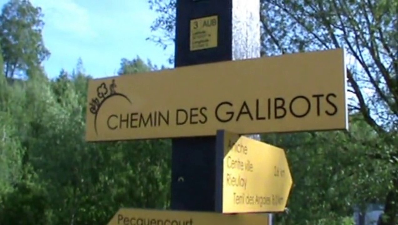 terril d'auberchicourt