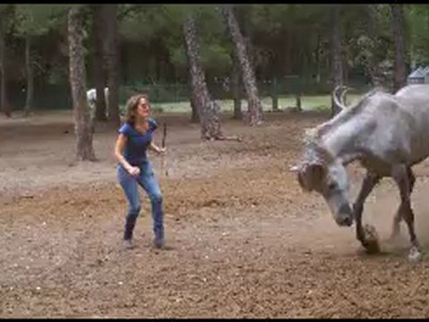 Longe+liberté montage