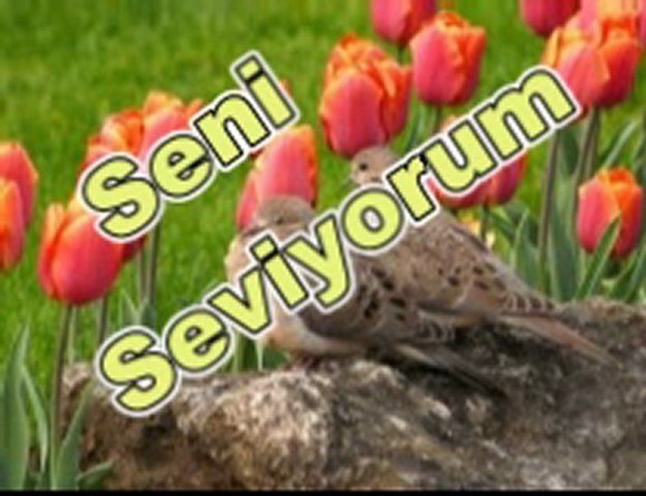 AYSEL BAYAR- CAN BEDENDEN ÇIKMAYINCA-BARIŞ MANÇO