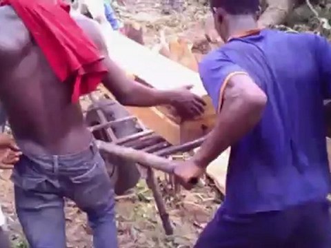 Africa Investigates - Sierra Leone: Timber!