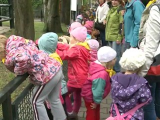 Euro 2012: Citta the elephant sees Poland victory