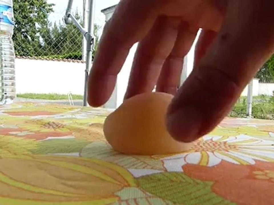 oeuf sans coquille