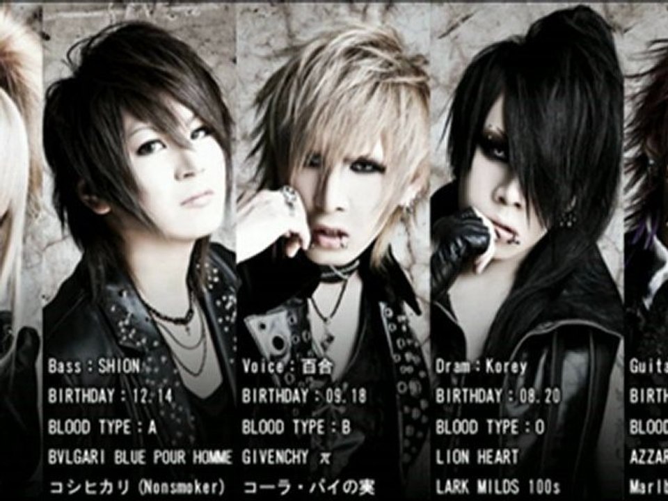 Signal - unleash from chain