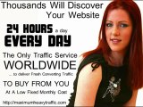 buy cheap website traffic for business opportunity seekers