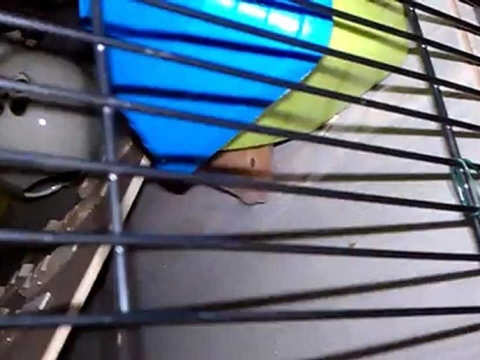 Emmi