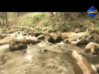 يا مالك الدنيا و الآخرة :: ياسر أبو عمار