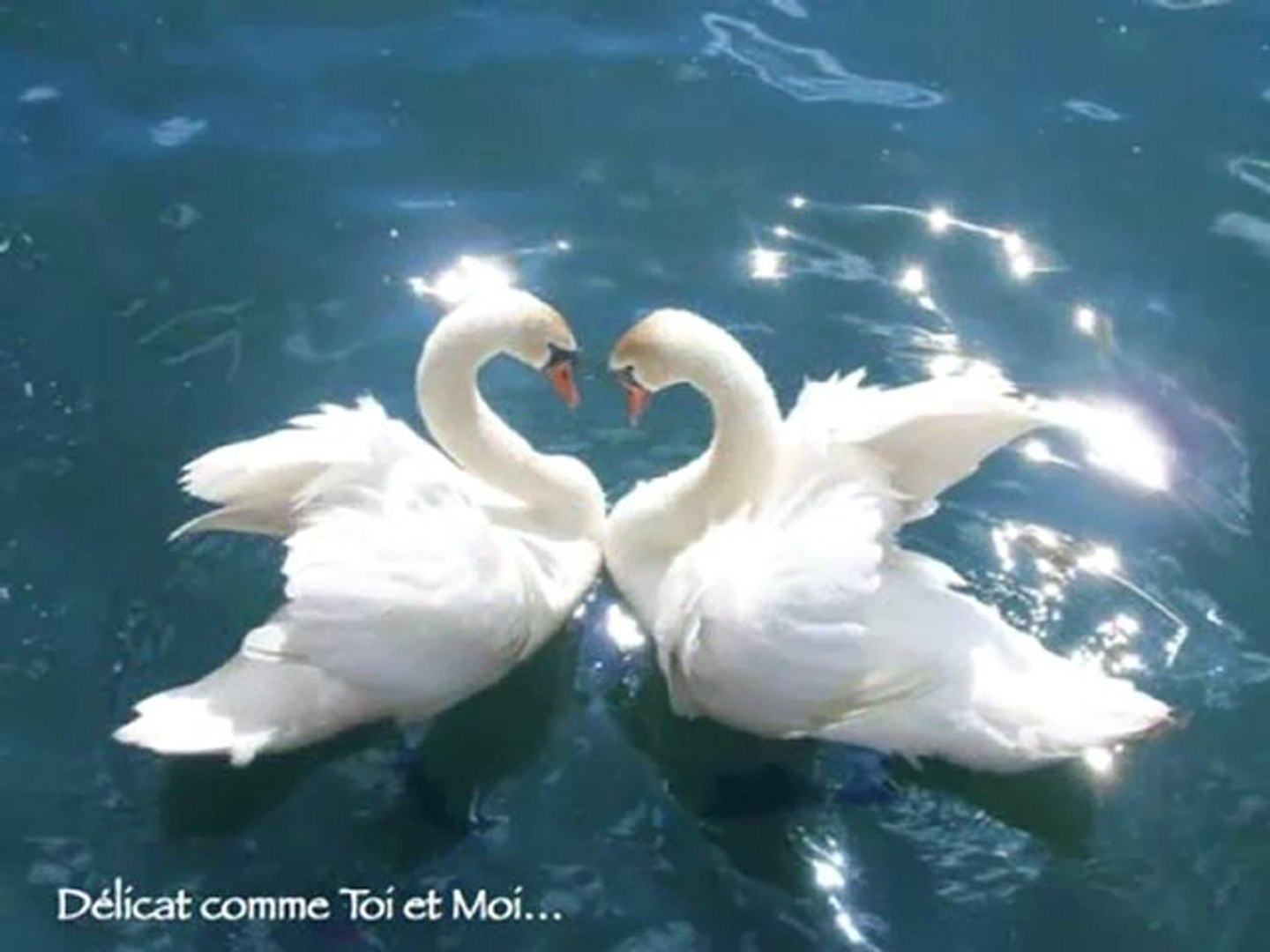 Joyeux Anniversaire Dominique Video Dailymotion