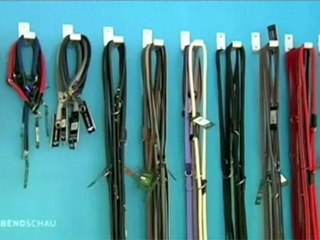 Abendschau vom 6. Juni 2012 - Bürgerbeteiligung beim neuen Hundegesetz