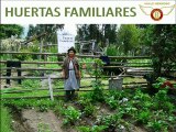 Huertas Familiares, Club Rotaract Valle Hermoso