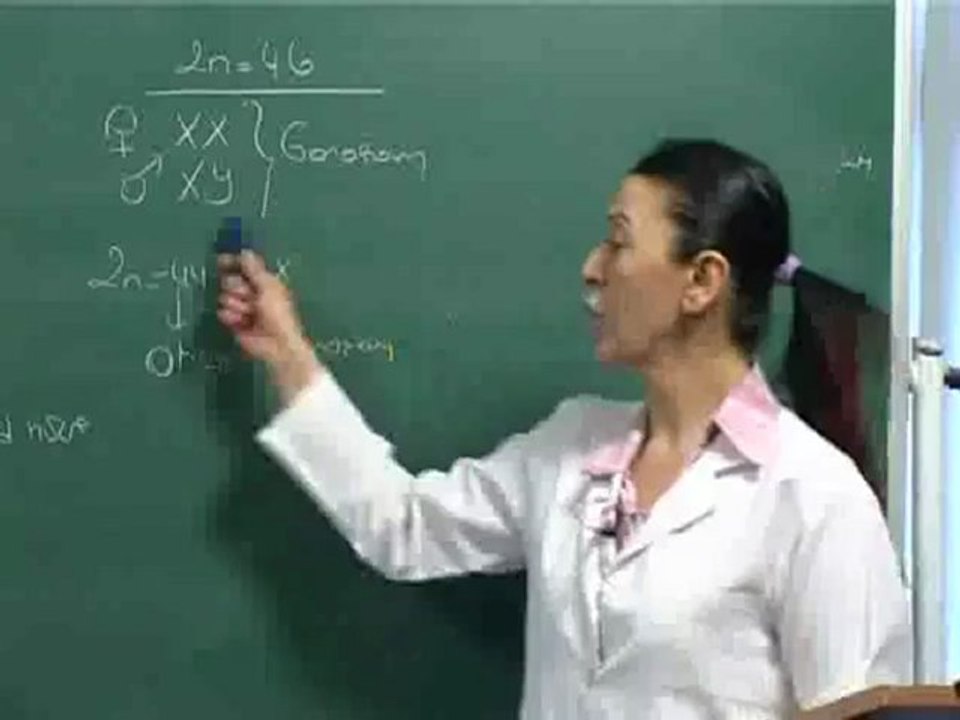 04-Hücre 2