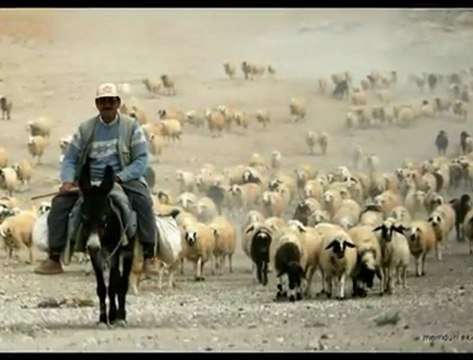 Anadoluyum Ben Ambar Köyü Memduh EKİCİFotoğrafları,Tam ekran izle paylaş