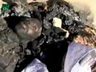 Activists claim 78 killed by pro-Assad forces in Hama