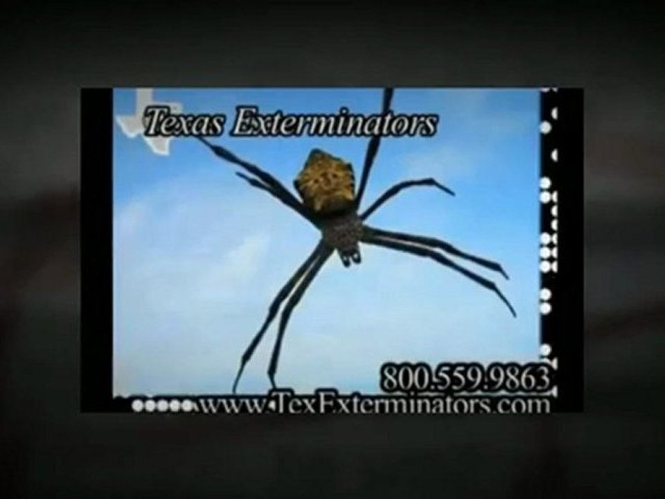 713.868.5518 'Pest Control Texas' Houston Exterminators, Houston Pest Control Exterminator