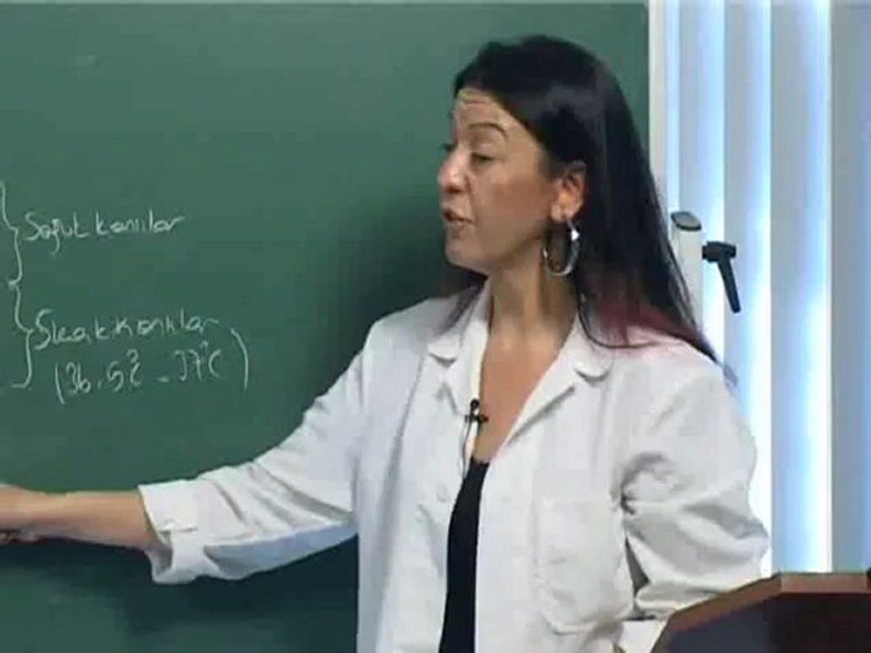 13-Canlıların Sınıflandırılması
