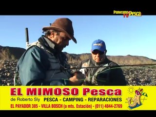 Panorama de Pesca TV 77