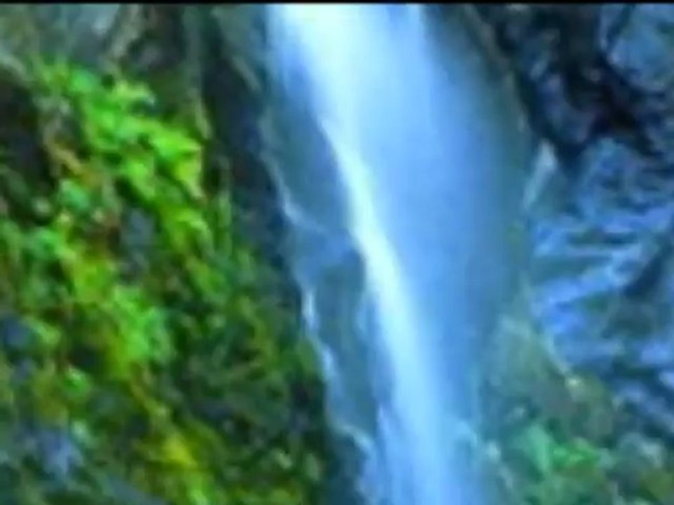 les torrents   d amour