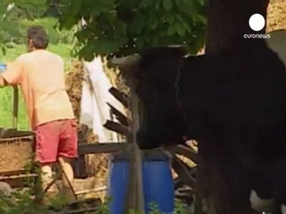 Italia eleva hasta 705 millones la factura de los terremotos