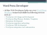 Wordpress Developer