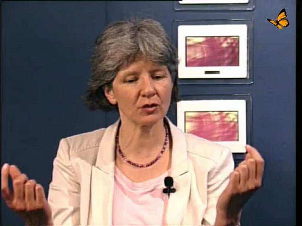 2012- und nun? Dagmar Neubronner im Gespräch mit Jo Conrad bei Bewusst TV