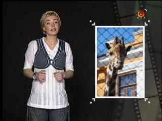 Съёмка животных