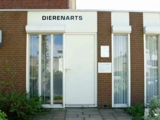 Download Video: Dierenarts Nieuw-Vennep Dierenarts A A J van Zweeden